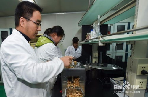 中药制剂实验设计方法及其在医药教学器材中的应用