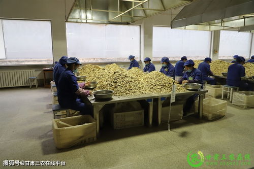陇西县实现道地中药材生产全程可追溯，助力医药教学器材升级